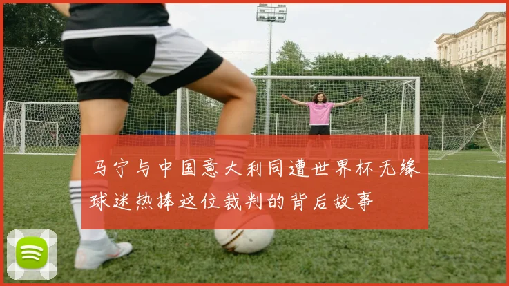 马宁与中国意大利同遭世界杯无缘球迷热捧这位裁判的背后故事